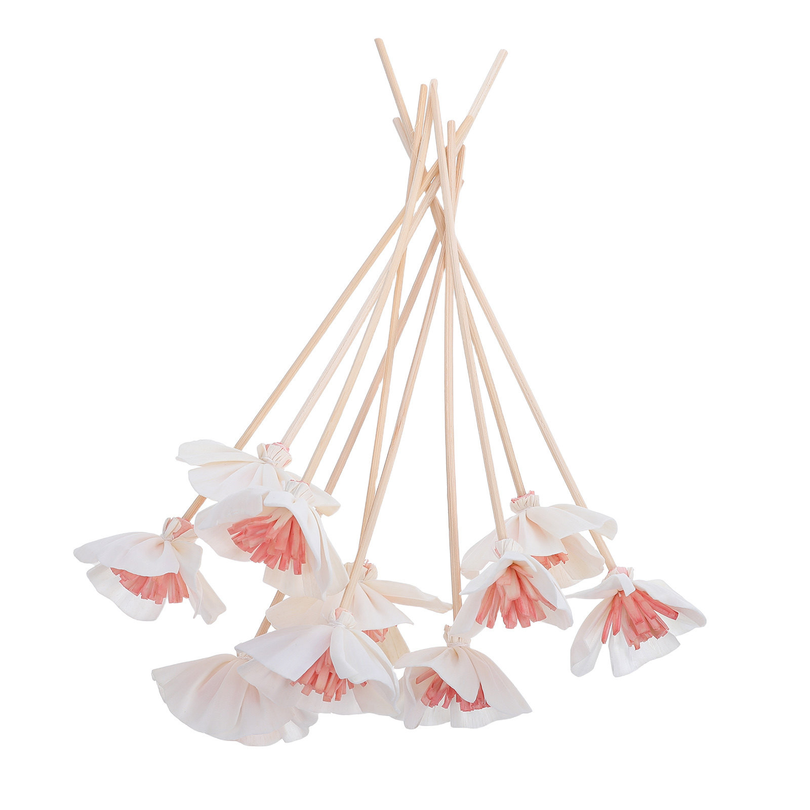 Aromatherapy Diffuser - Lot de 10 bâtonnets diffuseurs d'huiles
