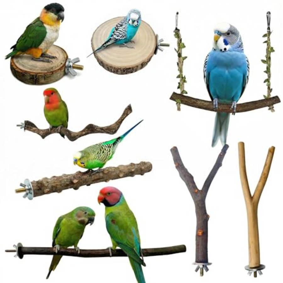 Health & Wellness Pay - 8 perchoirs en bois naturel pour