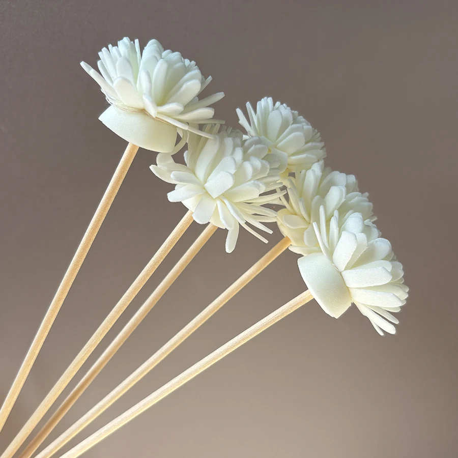 Lot de 10 bâtonnets diffuseurs - Aromatherapy Diffuser avis et prix