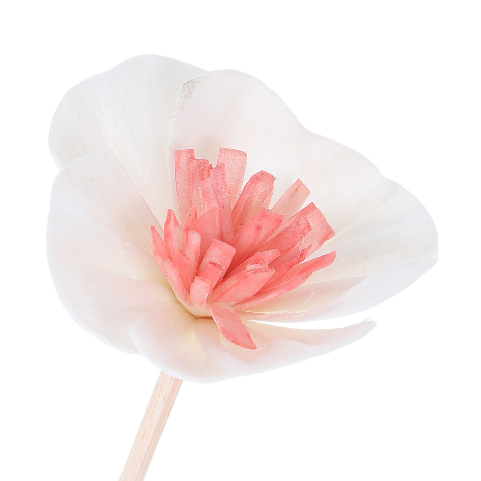 Bâtonnets diffuseurs d'huiles  - Aromatherapy Diffuser avis et prix